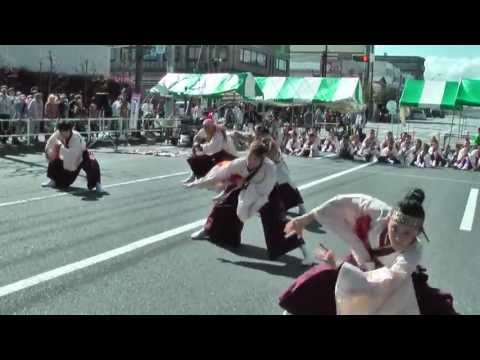躍動　第40回相模原市民桜まつり③　「よっしゃあ漢唄」
