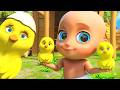 Los Pollitos Dicen Pío Pío 🐥 | Canciones Infantiles