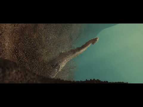 rooYa | Houdini Technical Presentation | Ramtin Ahmadi