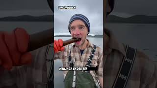 Fakta Menarik Dari Alga Bull Kelp