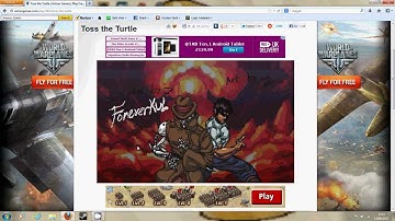 SkinnyQuinny115 Plays Flash Games: Toss the Turtle