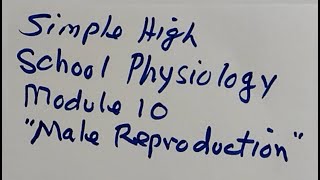 Easy High School Physiology - Module 10 - Male Reproduction