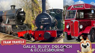 Galas, Bluey, Dolgoch & Ecclesbourne | Tram Travels | Vlog