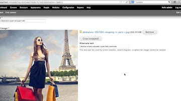 The Wall Image - Postwall Drupal Theme