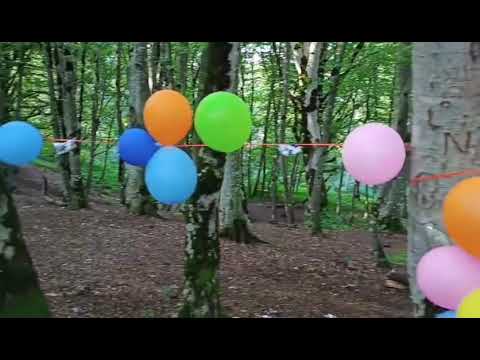 ულამაზესი ხელის თხოვნა . 2020 წელი