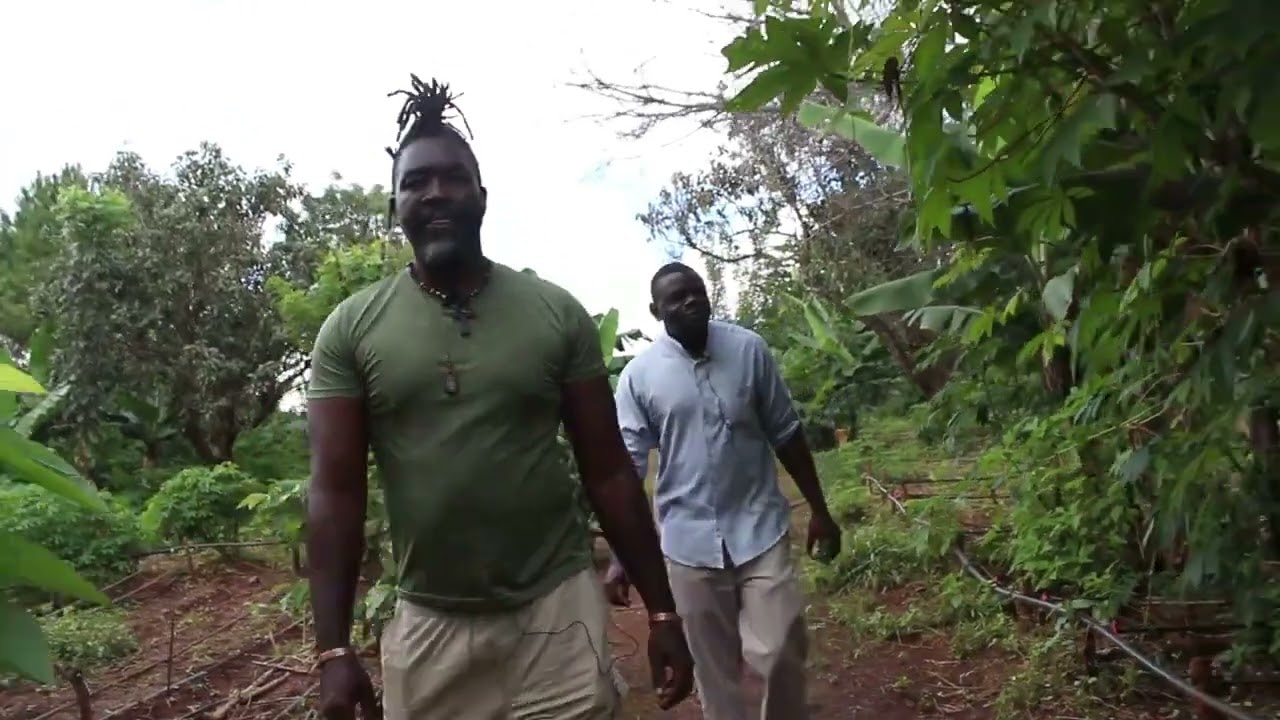 A thriving chemical free Food Forest  | Loctaguna Organics