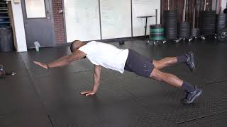 Contralateral Plank Hold