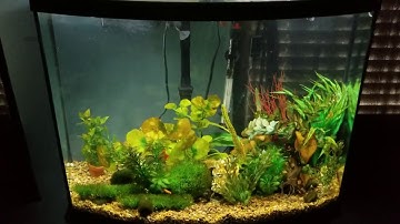 Marineland hidden LED review