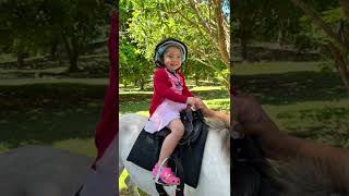 Moolk Farm Outdoor Camping 2022 Video 2