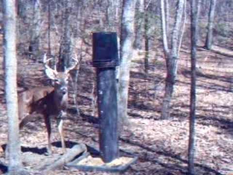 camera iphone 8 plus apk Another spring buck