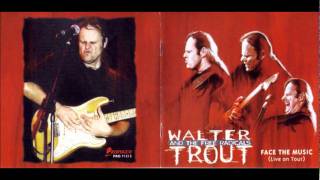 Walter Trout - Too Much Biz screenshot 5