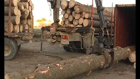 container load with spruce logs