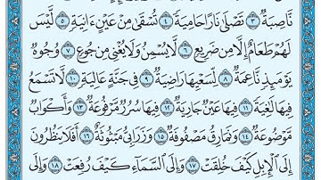 سورة الغاشية مكتوبة / ماهر المعيقلي
