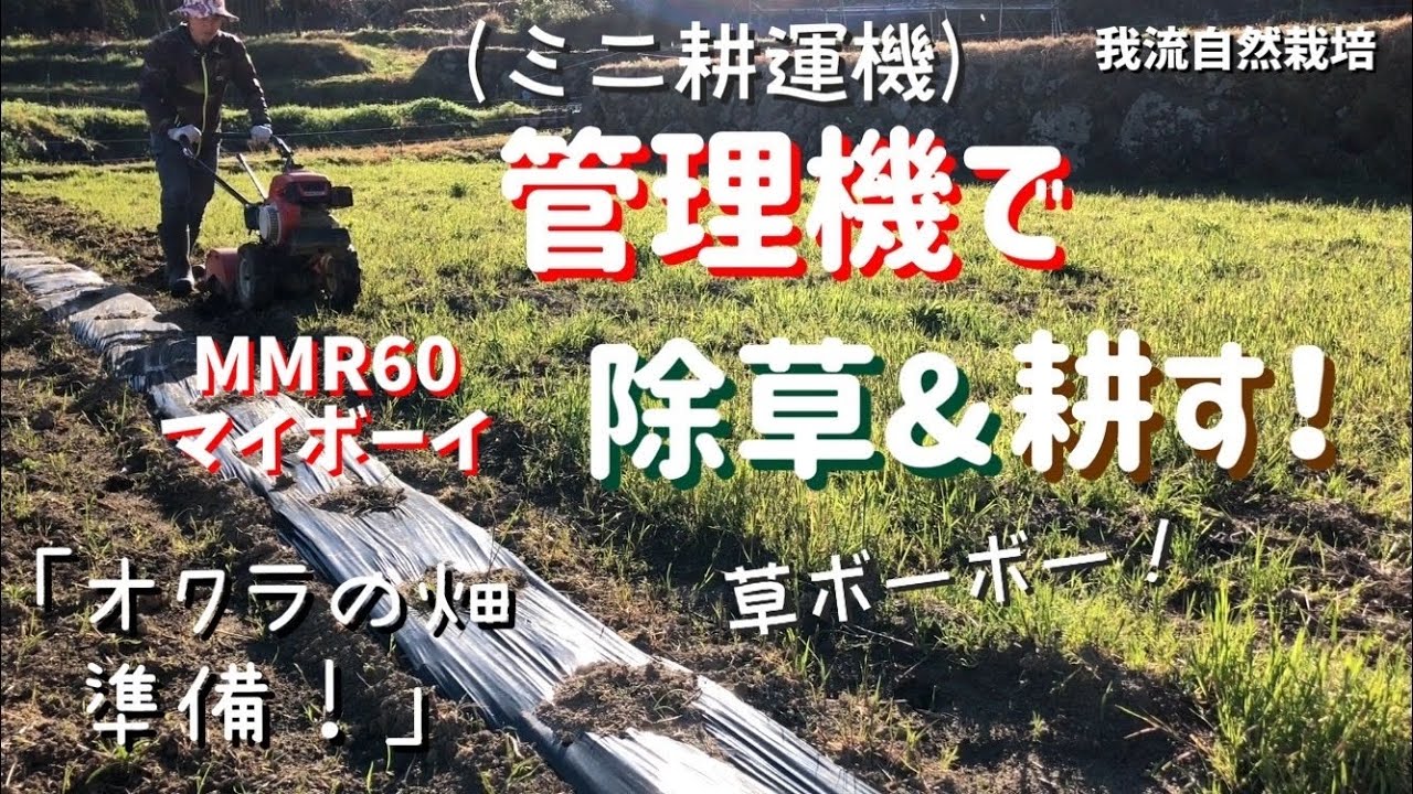 管理機(小型耕運機)で除草&耕す！(MMR60マイボーイでオクラの畑準備