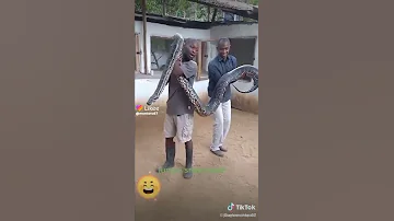 Https L Likee Video V DDUo4S 