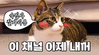 카메라 욕심 부리는 😺바위｜바위를 사로 잡은 소리의 정체는? (feat. 코딱지)