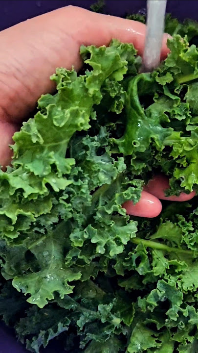 Fresh Kale #vegetables #asmr #satisfying #asmrsounds #youtubeshorts#highlights #shortsfeed#ytshorts