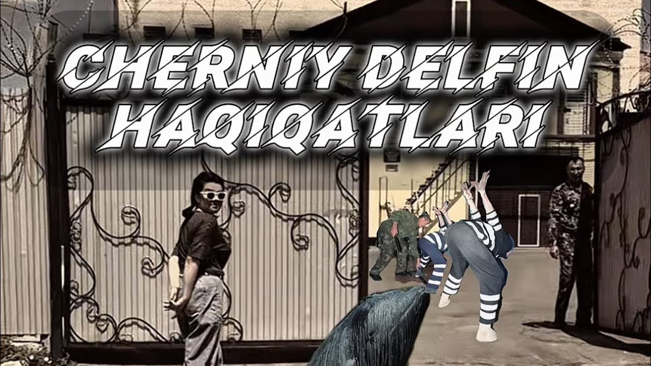 Qora delfin haqiqatlari