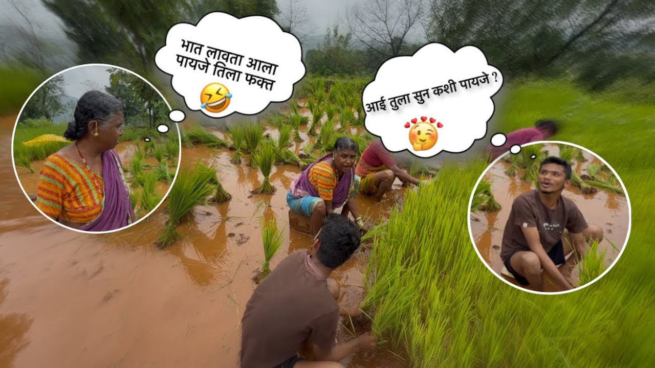 Vedu ne keli भात लावणी 😍