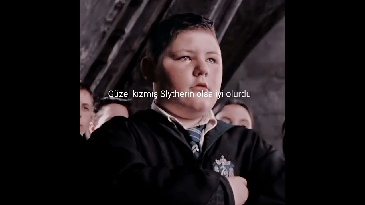 Sirius'un mirası-Harry Potter Dizi