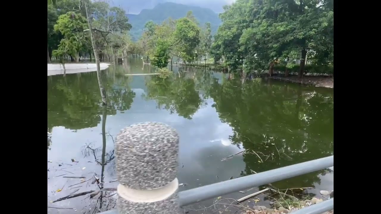 2024年9月到大埔湖濱公園看看，水位滿滿，過去美好的回憶現在都在水裡了，慢慢等吧！水退了之後我還會再來 縮圖