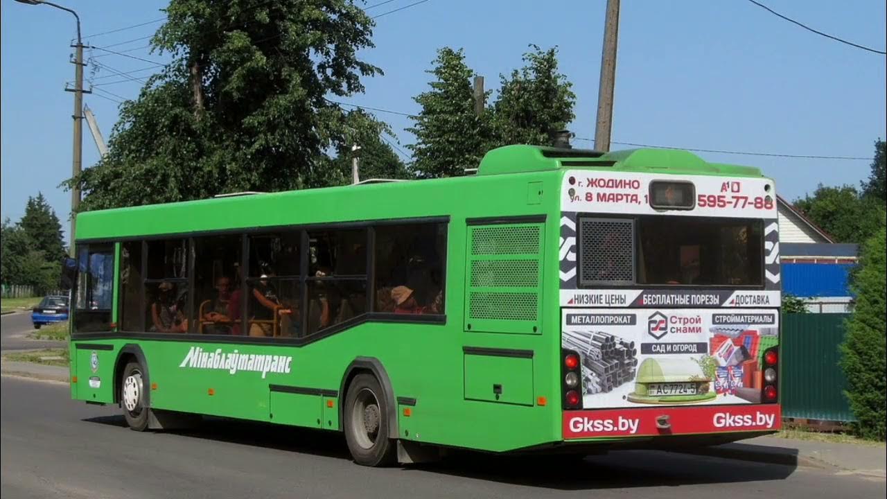новые автобусы жодино