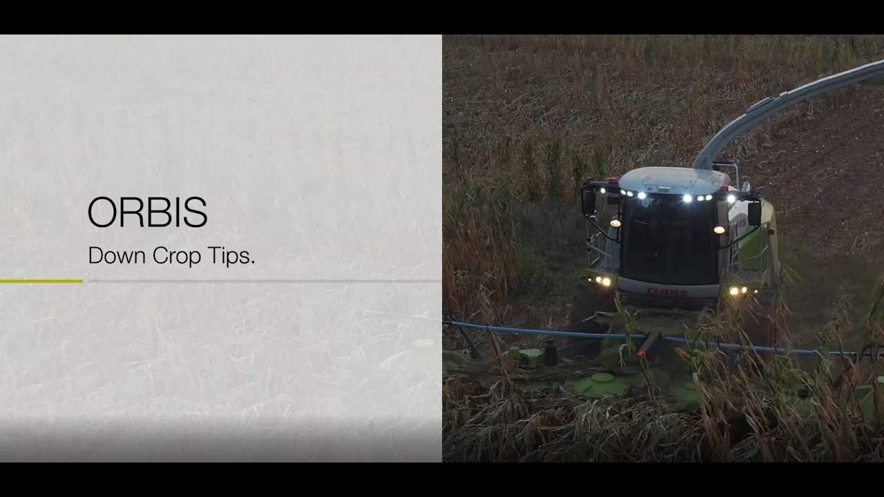 ORBIS Down Crop Tips
