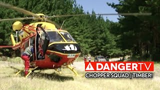 Timber! | Chopper Squad