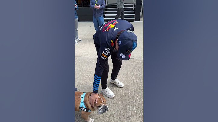 When Checo sees Roscoe 😍🐶 #F1 #RedBullRacing #BritishGP