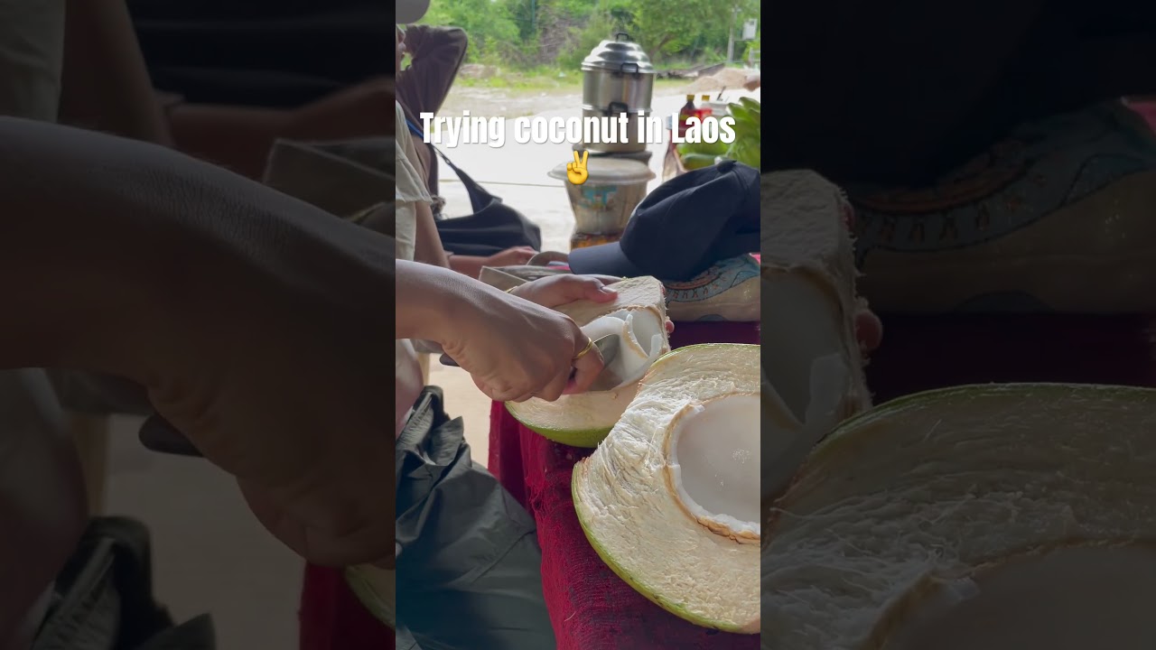 Coconut in Laos 