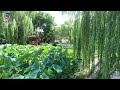 Our beautiful factory - Kainuo Industry