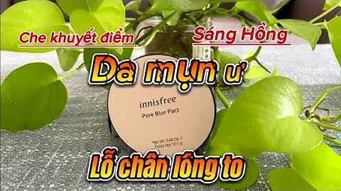 Phấn phủ innisfree dạng nén review năm 2024