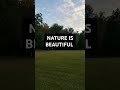 NATURE IS BEAUTIFUL GODS CREATION BEAUTIFUL SKIES GROUNDING GREEN GRASS NATURE PARK #viralshort
