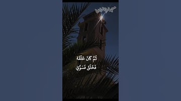 القارئ الشيخ صلاح الباجي