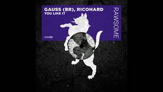 Gauss (BR), Ricohard - On Acid (Original Mix) [RAWSOME RECORDINGS]