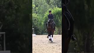 Riding Fourth Level Test 3 #equestrian #horse #dressage