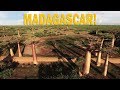 #2 MADAGASCAR | OS GIGANTESCOS BAOBÁS E A TARTARUGA IRRADIADA | RICHARD RASMUSSEN