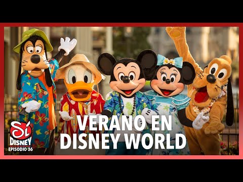 Video: Consejos de supervivencia para las vacaciones de primavera de Disney World