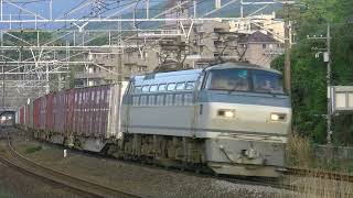 EF66-124　　66レ　東海道本線　　湯河原～真鶴