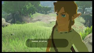 will I survive it ?blindly playing breath of the wild