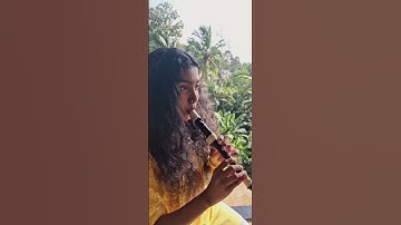 Spongebob Krusty Krab Theme #spongebob #recorder #music