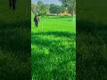 sheet lahar#shortvideo punjabisong #love #newsong #shortvideo