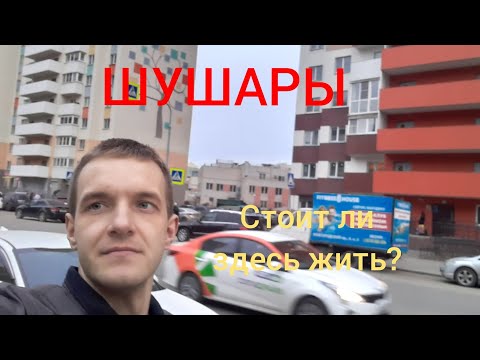 Обзор Шушары. Стоит ли жить в этом посёлке?