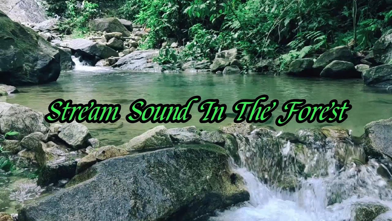 Relaxing River Sounds Peaceful Forest River| Forest Stream Sound for ...