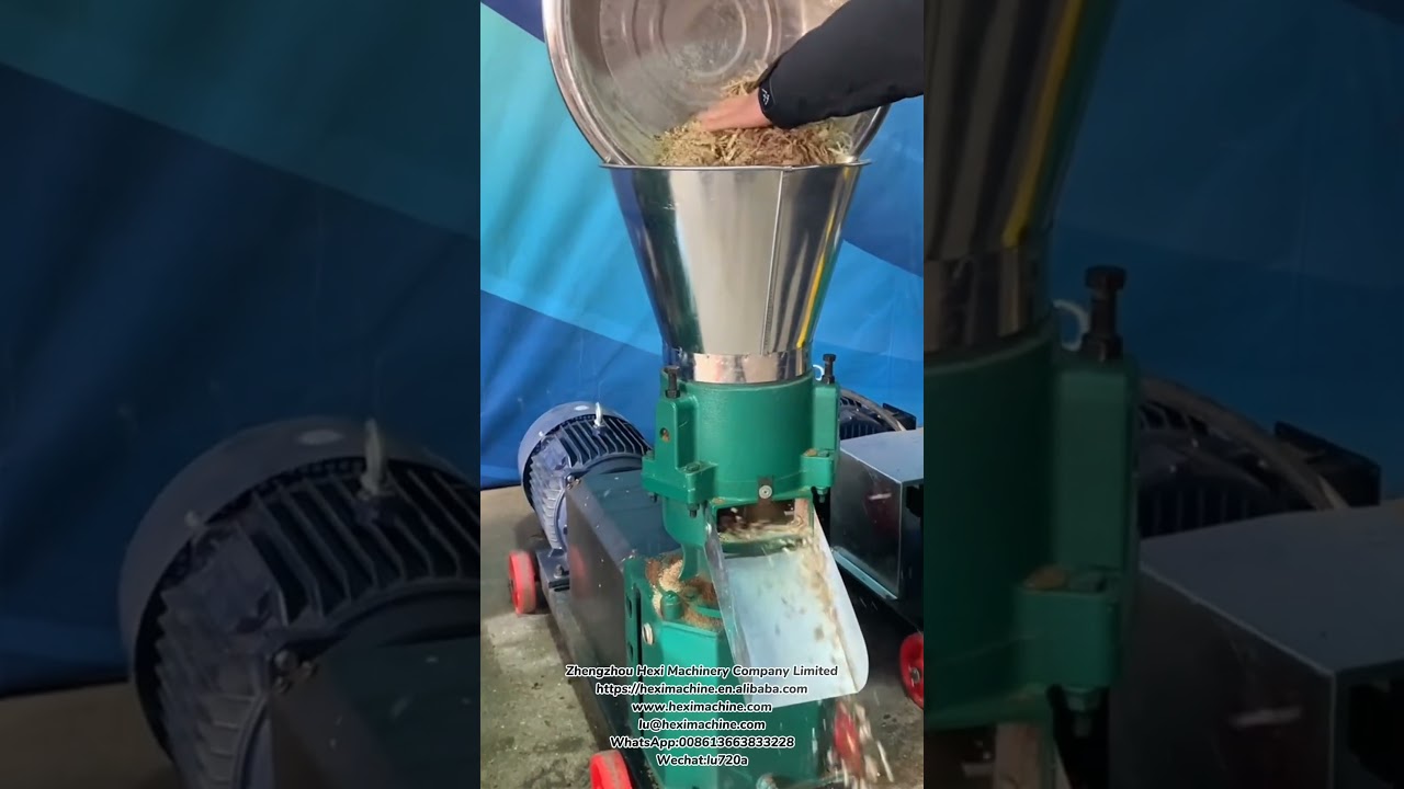 Machine de fabrication de granulés de presse à granulés