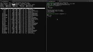 CPU Metrics Demonstration using top command - Linux Operating Systems