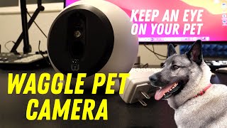 WaggleCam Pet Camera and Feeder - Pet Monitor for RVers screenshot 5