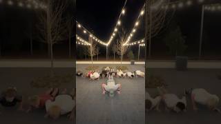 The 2026 Alabama 7A Wrestling State Champs decided to join in for this set! 470 #pushups so far!