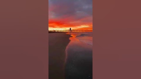 تلاوة خاشعة للقارئ مختار الحاج