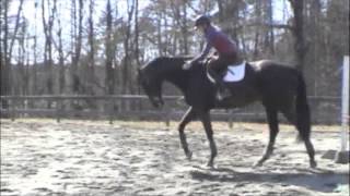 BIGGIE FLAT WORK